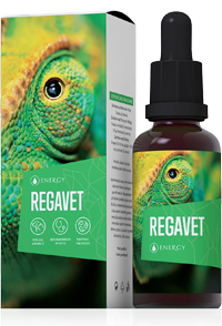 Regavet 30ml Energy Vet (Regavet 30ml ENERGY)