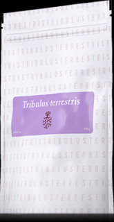Tribulus Terrestris čaj 105gr. Energy (Tribulus terrestris 105g bylinný čaj ENERGY)