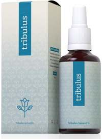 Tribulus terrestris forte 30ml koncentrát Energy (Tribulus terrestris forte 30ml doplnok výživy ENERGY)