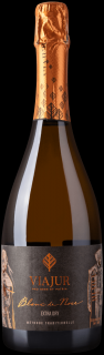 ViaJur VIAJUR Sekt Blanc de Noir 2022 extra dry biele šumivé 12,5% 0,75l šumivé Extra Dry biele 2022 12.5 % 0.75 l (čistá fľaša)