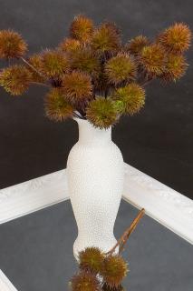 Kvet jesenný bodliak/38cm.