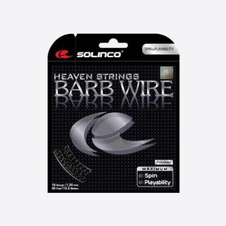 Barb Wire (The second name)