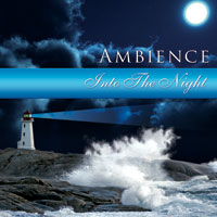 Into The Night CD (Into The Night CD)