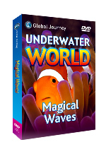 Magical Waves DVD (Magical Waves DVD)