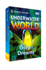 Ocean Dreams DVD (Ocean Dreams DVD)