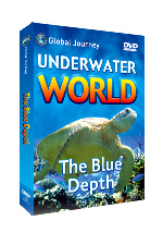 The Blue Depth DVD (The Blue Depth DVD)
