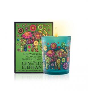 Spa Ceylon - ALOE WATERGRASS (Ceylon Elephant) - prírodná aromatická sviečka 50 g