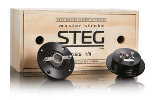 STEG MSS1m