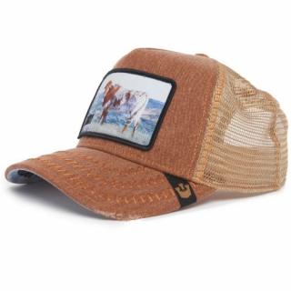 Šiltovka GOORIN BROS. Rodeo Buffalo brown