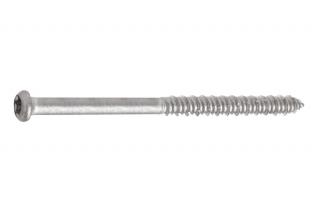 Skrutka ISS-T 4,8 x 100 ( keramik )