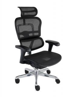 Grospol - Kancelárske kreslo Ergohuman 2 Basic BS Black
