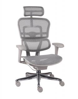 Grospol - Kancelárske kreslo Ergohuman 2 Basic GS Grey