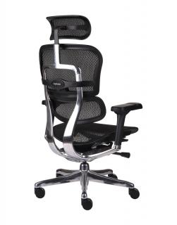 Grospol - Kancelárske kreslo Ergohuman 2 Elite BS Black