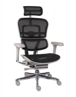 Grospol - Kancelárske kreslo Ergohuman 2 Elite GS Black