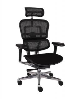 Grospol - Kancelárske kreslo Ergohuman 2 Elite Pro BT Black
