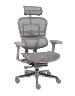 Grospol - Kancelárske kreslo Ergohuman 2 Elite Pro GS Grey