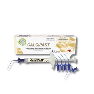 CALCIPAST - hydroxid vápenatý v paste Calcipast (Cerkamed) - 2,1g