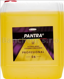PANTRA PROFESIONAL 06 alkoholový čistič na všetky lesklé povrchy - 5 L
