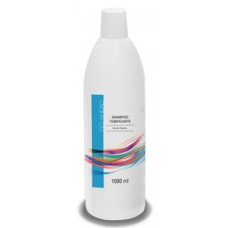 GO AHEAD
 Šampón na vlasy tónovací s mätou piepornou 1000 ml