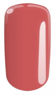 Tasha UV/LED gél farebný Fresh Raspberry 5 g Black Line