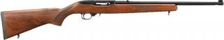 ruger-1022-dsp-22lr-1102