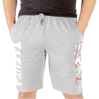 Pánske kraťasy bledosivé (Kraťasy pánske teplákové s potlačou, voľnočasové oblečenie)
