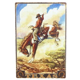 Retro plechová cedula TEXAS 20x30 (Kovová ceduľa na stenu)