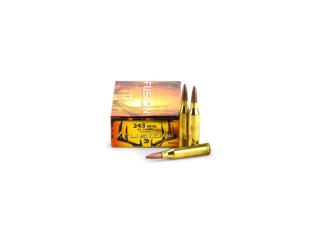 .243Win. Fusion 95gr/6,16g SP (F243FS1)