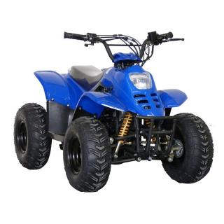 ATV 110 001 6  modrá