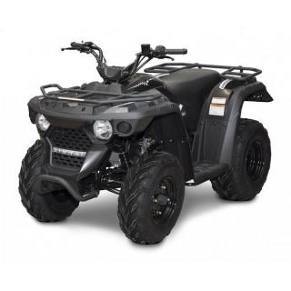 Štvorkolka Linhai M150 2x4, čierna bez spz