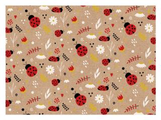baliací papier KRAFT K349 100x70 5811856