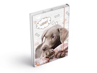 dosky na zošity box A5 Pes 8021028