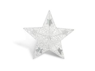 hviezda biela vianočná 25cm R2313/10 8885943