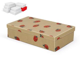 krabička darčeková A-C009-G 36x22x9cm 5371230