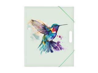 zložka na výkresy A4 kolibrík 5371057