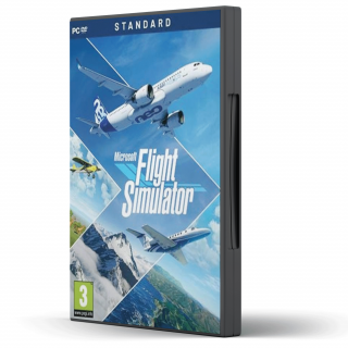 Flight Simulator
