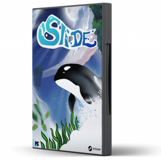 Slide Animal Race