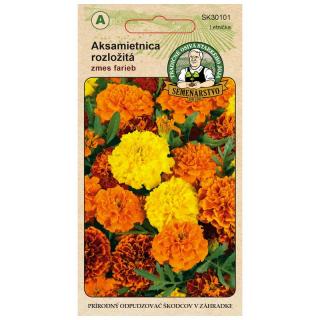 Aksamietnica rozložitá 1g, zmes farieb PRO-SK30101