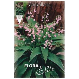 Konvalinka - Convallaria majalis Rosea PRO-00 8250