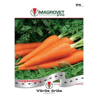 Výsevný pás - mrkva neskorá PRO - 47071