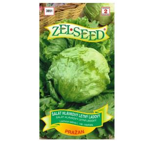 ZELSEED Šalát letný ľadový PRAŽAN ZEL - 289017