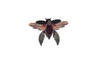Dřevěná brož Rebel Skin Brooch 'Moth'  s praktickým zapínáním a možností výměny či vrácení do 30 dnů zdarma