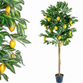 Plantasia Umelý strom Citrus Citrón 185 cm (Umelé kvety)