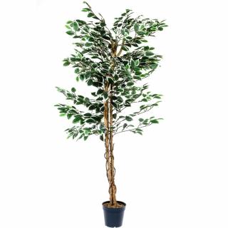 Plantasia Umelý strom fikus Benjamín 160 cm (1000 listov)