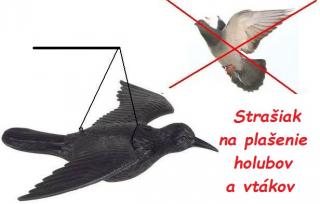 STREND Plašič vtákov a holubov Havran, plastový strašiak
