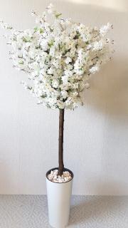 Kvitnúci strom- Jabloň 180 cm