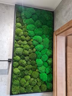 Machový obraz- kopčekový mach 90cm x 45cm