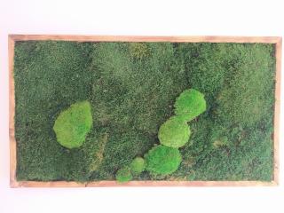 Machový obraz- lesný mach 30cm x 70cm