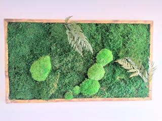 Machový obraz- lesný mach s papradím 40cm x 80cm