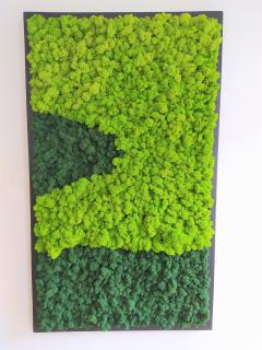 Machový obraz v čiernom ráme 135cm x 65cm